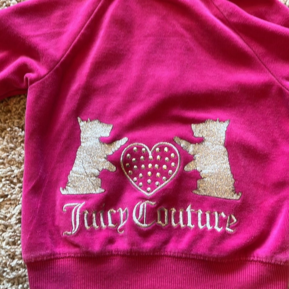 Hoodie - Picture 4 of 4